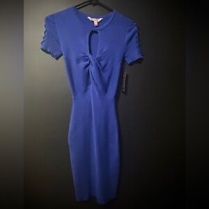 Cobalt Blue Knit Dress / Form Fitting
